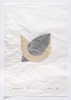 JULIA MORISON Vademecum II / 73.2
