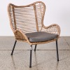 An Outdoor Wicker Chair