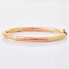 9ct Tricolour Gold, Hollow, Oval Hinged Bangle