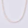 40cm Small Semi-round Pearl Strand with an 18ct Yellow Gold Clasp