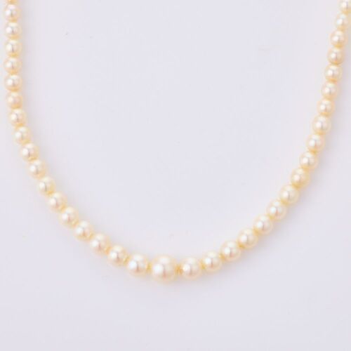 39cm Pearl Necklace Attributed to Mikimoto with Box