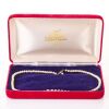 39cm Pearl Necklace Attributed to Mikimoto with Box - 2