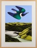 ATTRIBUTED TO DON BINNEY Swoop of The Kotare Wainamu - 2
