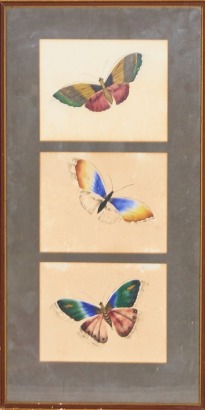 A Vintage Butterfly Picture