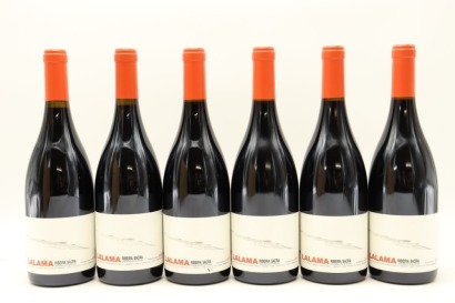 (6) 2017 Dominio do Bibei 'Lalama', Ribeira Sacra