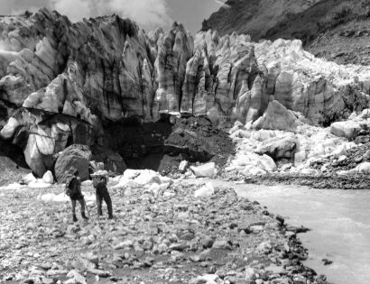 Advancing Terminal of Fox Glacier