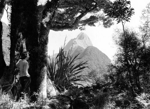 Mitre Peak (5560ft) Milford Sound