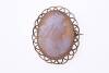 An antique cameo brooch, the oval helmet shell cameo with carved female profile. 9ct yellow gold. Weight 4.11 grams. Length 30mm. Makers mark H & N.