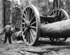 AUSTRALIA NATIONAL TRAVEL Tractor Hauling Jarrah Logs Through the Forest at Manjimup, W.A