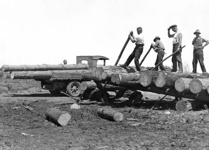 Log Rolling at the Bottle Lake Plantation