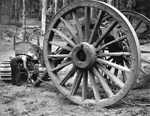 AUSTRALIA NATIONAL TRAVEL Tractor Hauling Jarrah Logs Through the Forest at Manjimup, W.A