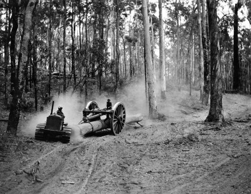 AUSTRALIA NATIONAL TRAVEL Tractor Hauling Jarrah Logs Through the Forest at Manjimup, W.A