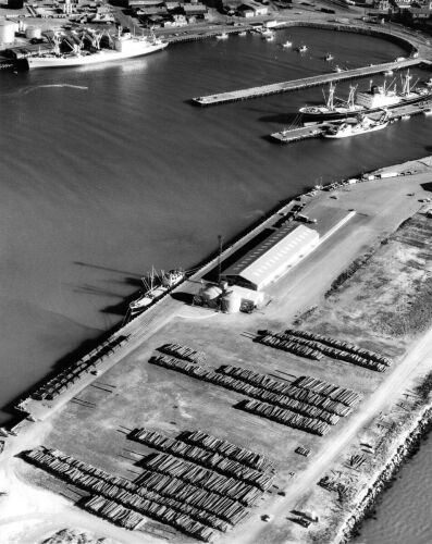 V C BROWNE Stacks of Timber for Export