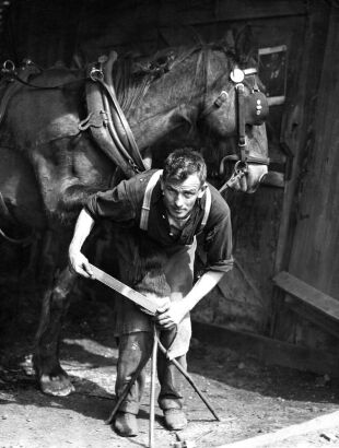 A Disappearing Trade - Farrier at Work