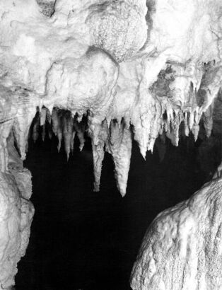 Limestone Caves in Westland