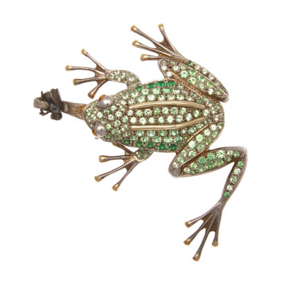 New Zealand Tree Frog Brooch