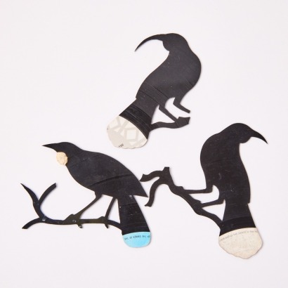 A Set of Vinyl Record NZ Birds