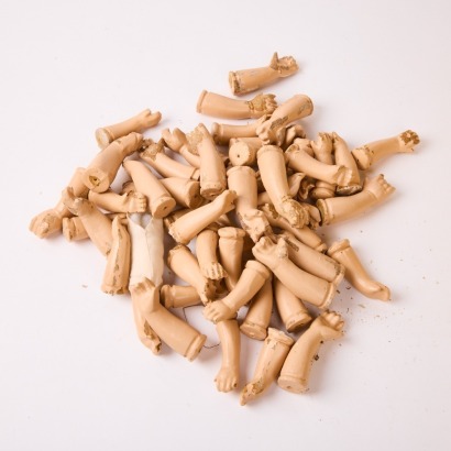 A Collection of Assorted Dolls Arms