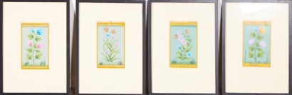 A Collection of Four Framed Botanic Watercolours