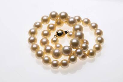 A South Sea pearl necklace, the forty-one graduated, round pale golden pearls measuring 9 - 12mm, hung with a plain polished 18ct yellow gold ball clasp. Length 45cm.