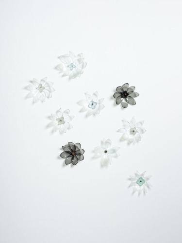 EMILY SIDDELL Inflorescence Cluster