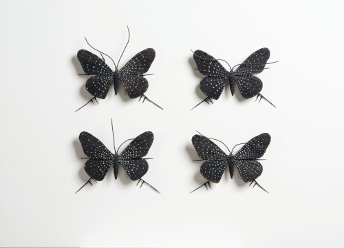 ELIZABETH THOMSON The Black and Whites I