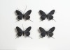 ELIZABETH THOMSON The Black and Whites I