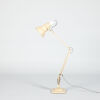 A Herbert Terry Anglepoise Lamp