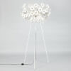 A Moooi Dandelion Floor Lamp