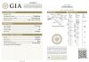 Naveya and Sloane, Platinum, 1.25ct Diamond Ring, GIA Certified - 2
