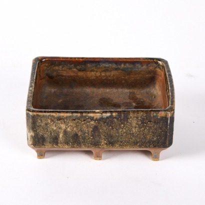 A Bonsai Ceramic Dish