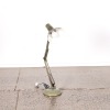 An Anglepoise Lamp