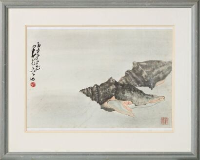 Conch-A Chinese Ink Painting （Zhao shaoang Stamp）