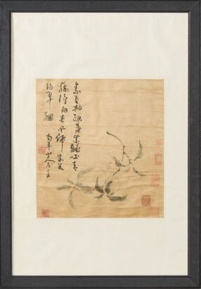 A Chinese Early-Mid Qing Dynasty 'Peach' Painting （Gao Fenghan Stamp） (1683-1748）