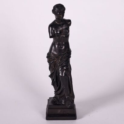 A Black Plaster Venus