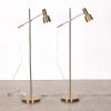 A Pair of Gold Floor Lamps