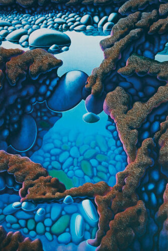MICHAEL SMITHER 3 Rock Pools and Lava Flow