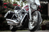 2003 Harley Davidson V-Rod 100th Anniversary Edition - 2