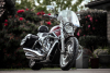 2003 Harley Davidson V-Rod 100th Anniversary Edition - 3
