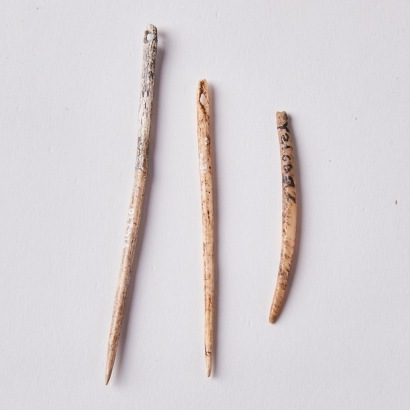 Collection of Pre-European Bone Needles, Aotearoa