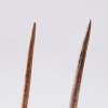 Collection of Pre-European Bone Needles, Aotearoa - 3