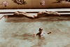 MEGAN JENKINSON Maketu Hot-Pools II