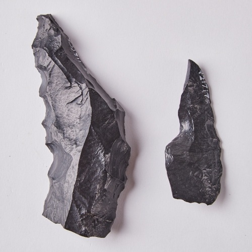 Two Early Stone Gouge Points, Aotearoa