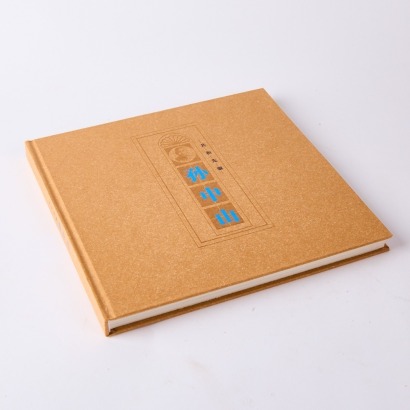 A Book of Chinese Stamps