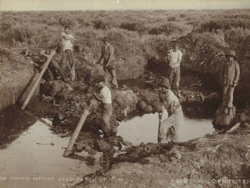 ARTHUR NORTHWOOD Maoris [sic] Digging Deep Patch of Gum