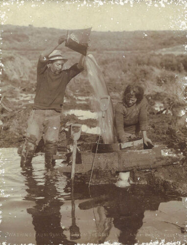 ARTHUR NORTHWOOD Washing Kauri Gum Chips from the Soil