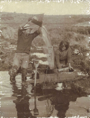 ARTHUR NORTHWOOD Washing Kauri Gum Chips from the Soil