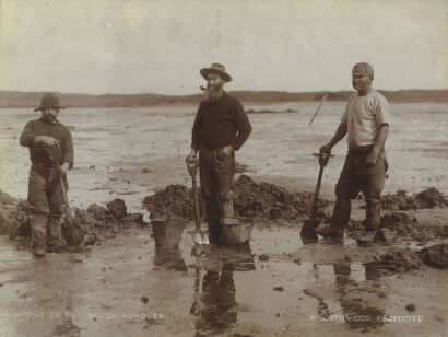 ARTHUR NORTHWOOD Digging on the Beach, Hohoura [sic]