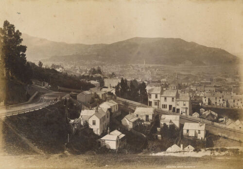 BURTON BROS Dunedin from S.W