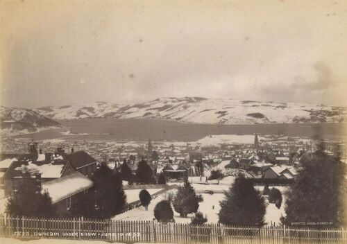 BURTON BROS Dunedin Under Snow, June 10, 1893